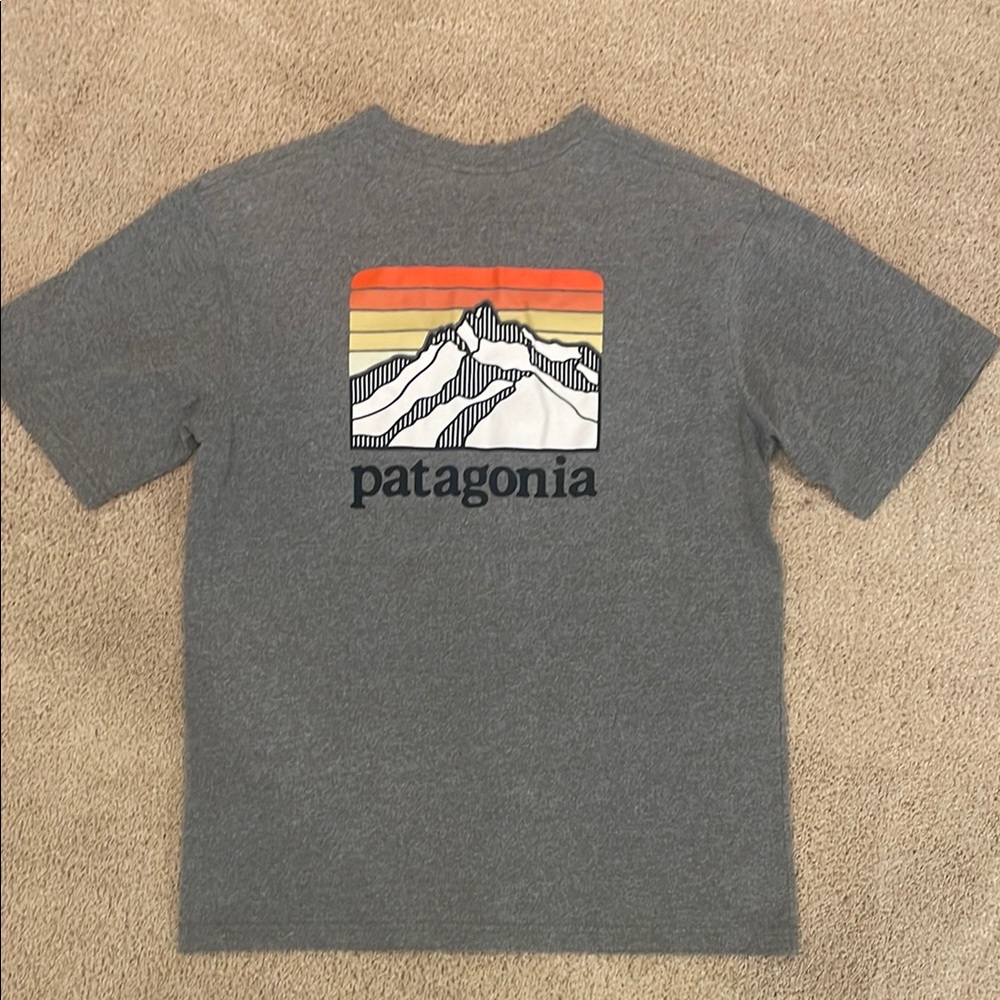 Patagonia gray tshirt, men size XS
